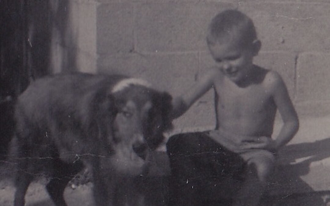 A young boy sitting next to his dog.