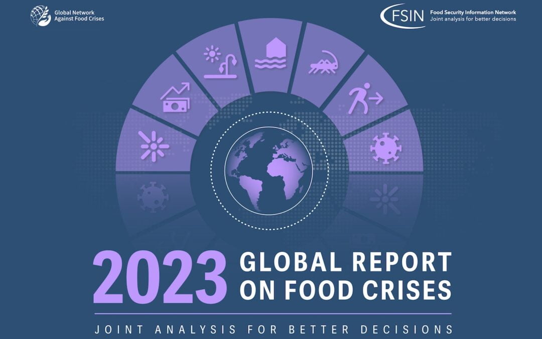 Acute Food Insecurity Increased by 65m People Worldwide in 2022