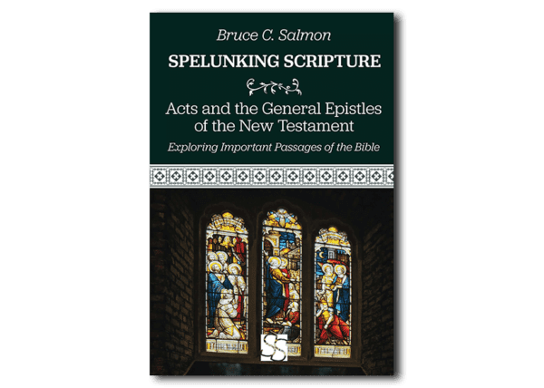Acts and the General Epistles of the New Testament - by Bruce C. Salmon