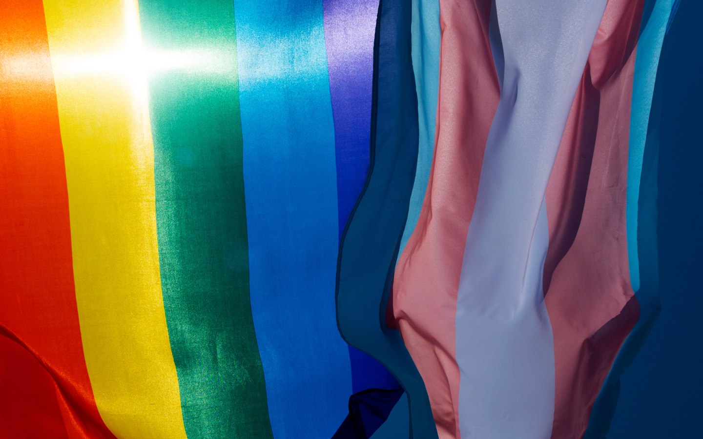 The rainbow and trans flags next to each other.