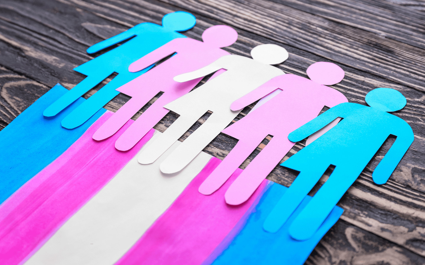 Paper cutouts of people in the colors of the transgender flag.