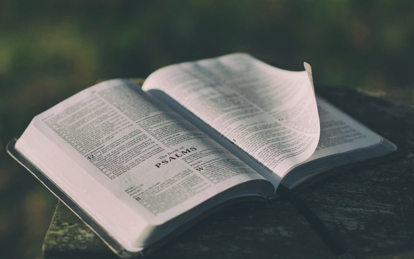 A Bible sitting on a table open to Psalm 1.